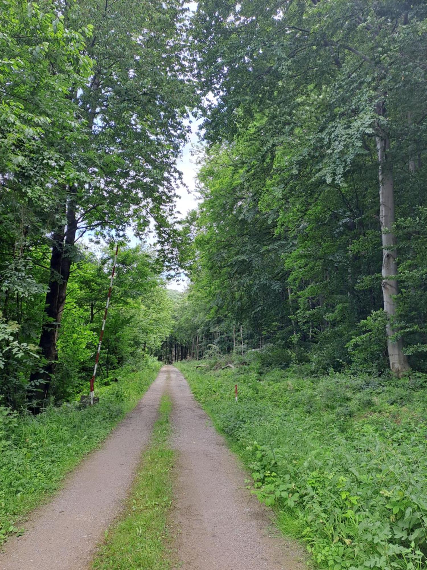 Das Altsteirische Landhaus - La Maison De Pronegg - Feriendomizil Im Biosphaerenpark Wienerwald Pressbaum Esterno foto