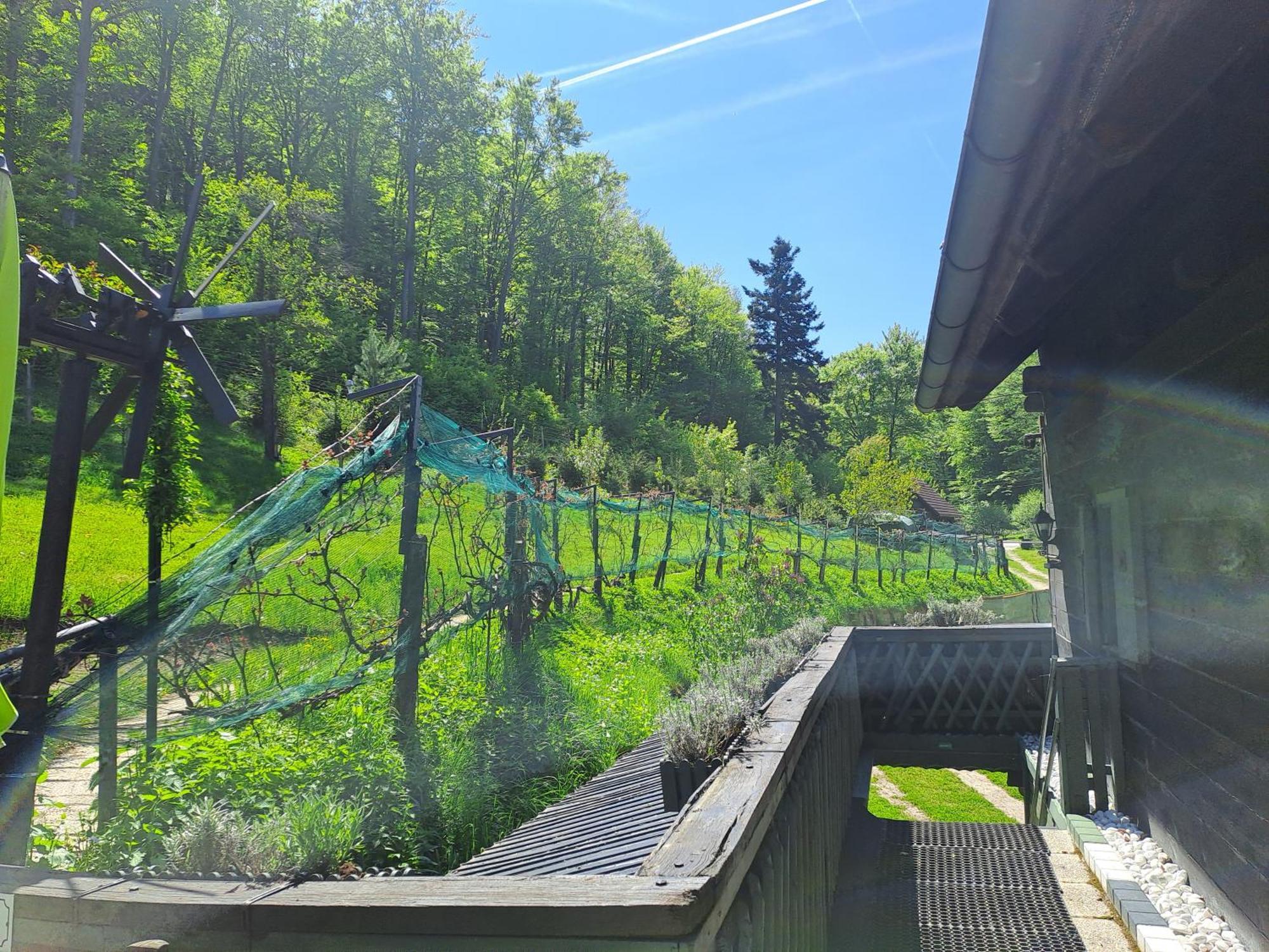Das Altsteirische Landhaus - La Maison De Pronegg - Feriendomizil Im Biosphaerenpark Wienerwald Pressbaum Esterno foto