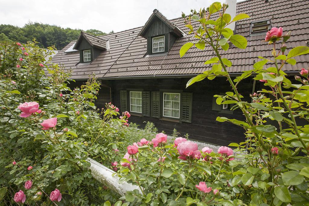 Das Altsteirische Landhaus - La Maison De Pronegg - Feriendomizil Im Biosphaerenpark Wienerwald Pressbaum Camera foto